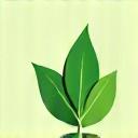 Icona di una foglia verde che simboleggia prodotti ecologici.